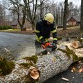ФОТО | Сильный ветер валит деревья на дороги, более 4700 домохозяйств остались без электричества