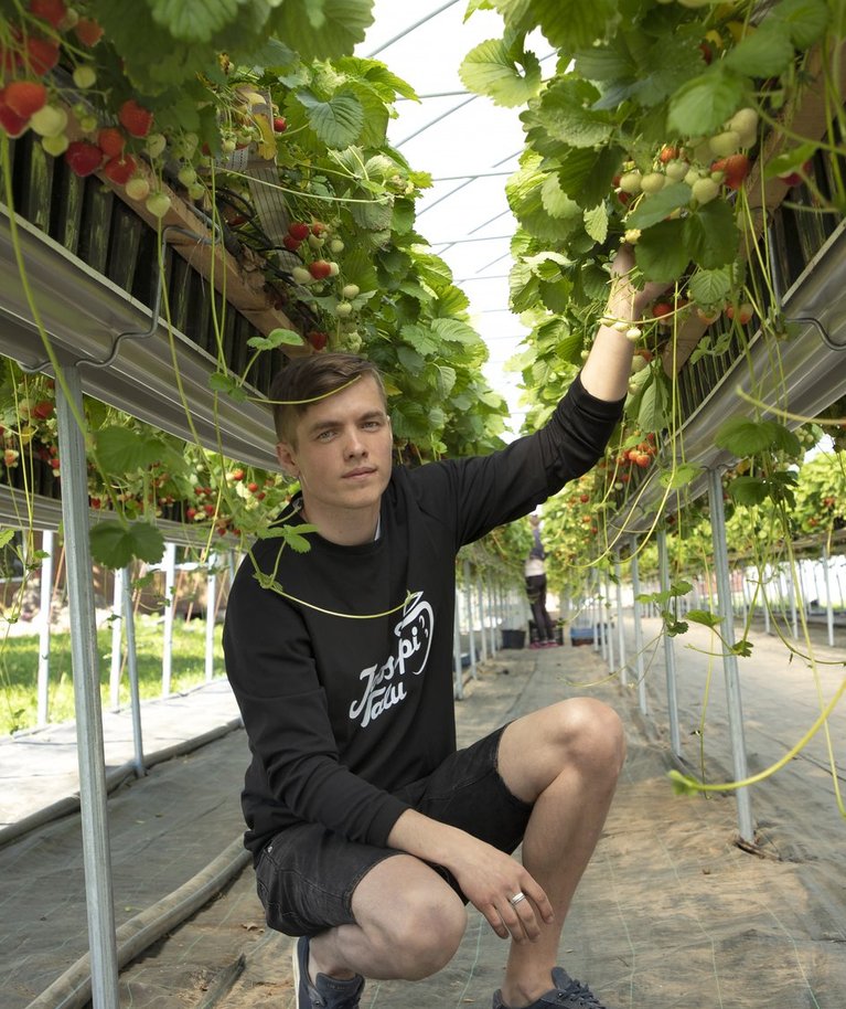 Joosepi talu agronoom ja müügijuht Ranet Roositalu katsetab maasikakasvatuses uute meetodite ja võtetega.