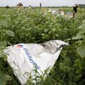 TOP 20: Katastroofidest räsitud Malaysia Airlines valiti paremate lennufirmade hulka