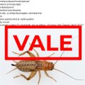 FAKTIKONTROLL | Putuka-paanika: inimeste toidu sisse ei hakata salaja putukaid panema