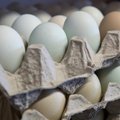 Новые ценовые рекорды? Куриные яйца подорожали до 70%, гречка - вполовину