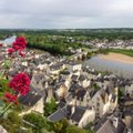 TÄIUSLIK ROADTRIP | Teekond Pariisist läbi Loire’i oru Cognaci on täis imelisi vaateid ja ahvatlevaid restorane