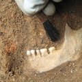 Mahapõletatud linnast leiti tapetud roomlane (see aitab Britannia varast ajalugu selgitada)