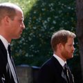Printsid Harry ja William matavad sõjakirve, et avaldada austust ema Dianale