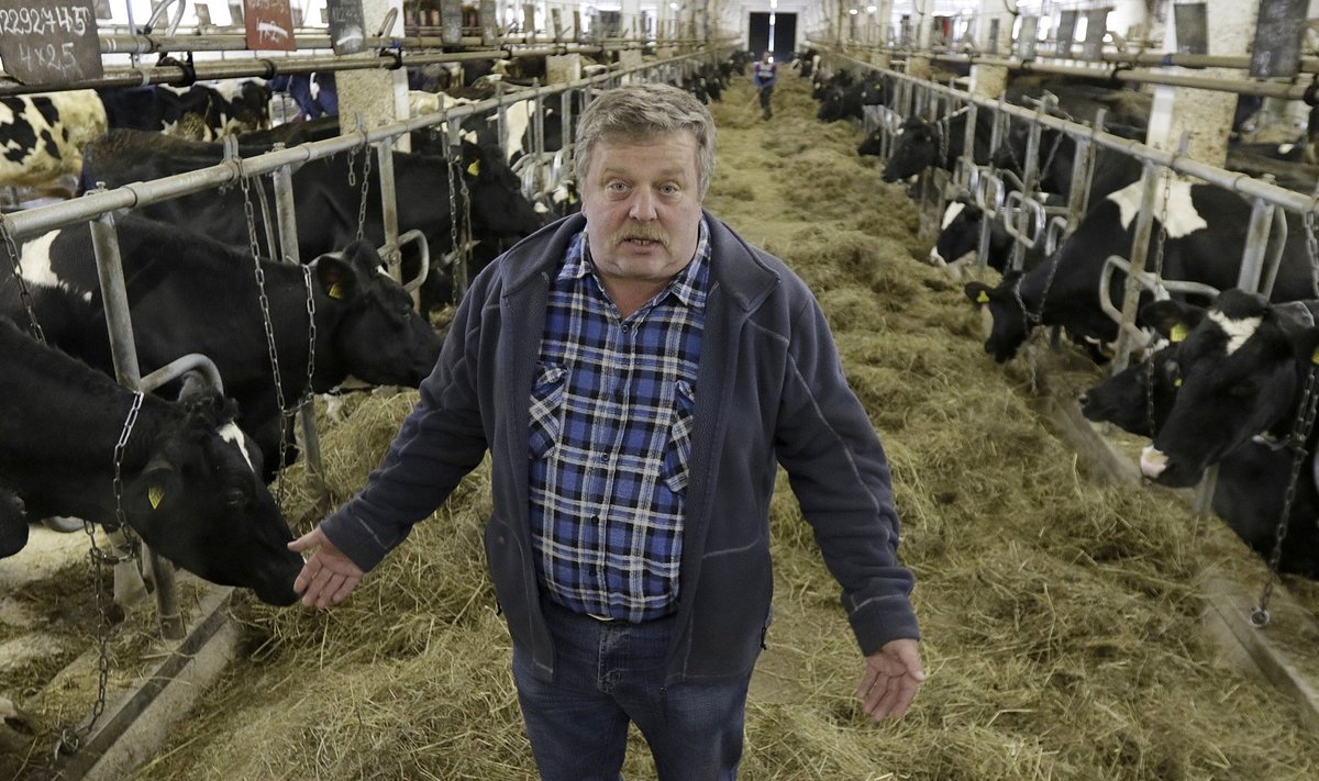 Aktsiaseltsi Perevara loomakasvatus juht Urmas Raide selgitab, et ettevõtte neli farmi on vanad ja vajaksid hädasti uuendamist. Selline plaan ka oli, ent praeguse piimahinnaga pole võimalik investeerida.