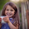 Uuring: Eesti pere joob ligi liitri piima päevas