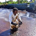 FOTOD ja VIDEOD | Katastroof: ränk naftaleke reostab Mauritiuse neitsilikku loodust