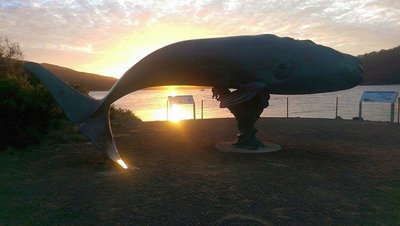 Nii lõunas kui saab: Austraalia lõunapoolseim punkt Cockle Greek.