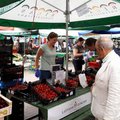 Läti ausad maasikakasvatajad on samuti petturitest kaupmeestega hädas