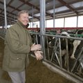 Joakim Helenius: Ameerikas võtavad farmerid lehma kallistamise eest 300 dollarit