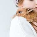 Võit loomadele! Euroopa Parlament toetab loomkatsete lõpetamist