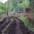 PÖÖRDUMINE | Taanlaste osa Eesti metsade ülekasutuses