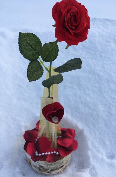 Kui tähtsal hetkel kipuvad sõnad sassi minema, võib lasta rääkida hoopiski lilledel. On ju punane roos armastuse sümbol, ja kui sinna lisada veel punane karbike sõrmusega, siis ei pea kaua mõtlema, millist ettepanekut on oodata.