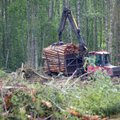 Raierahu saatis 120 Valgamaa metsameest sundpuhkusele, puidutöötlejaid ähvardab tooraine nappus