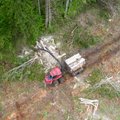 Homne hääletus määrab Eesti metsade ja taastuvenergia tuleviku