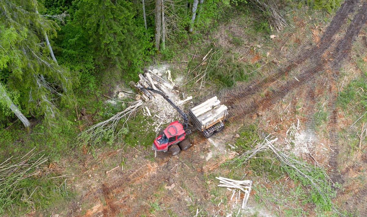 Eesti puit on puidugraanulite tegemiseks liiga väärtuslik, on Euroopa Komisjoni asepresident Frans Timmermans öelnud.