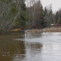 Kevadine sula saabus jaanuaris – mitmel pool Eestis laiutavad jõed üle kallaste