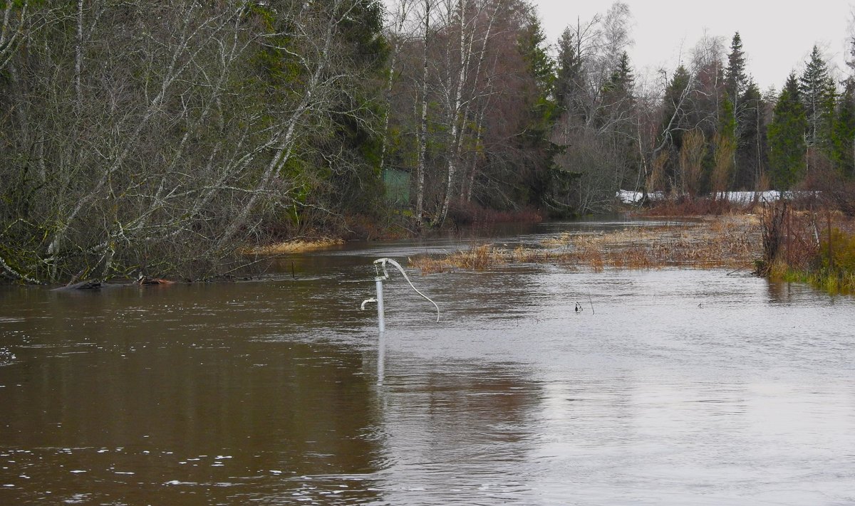 Kasari lisajõel Vigalal algas üleujutus möödunud nädala lõpus.