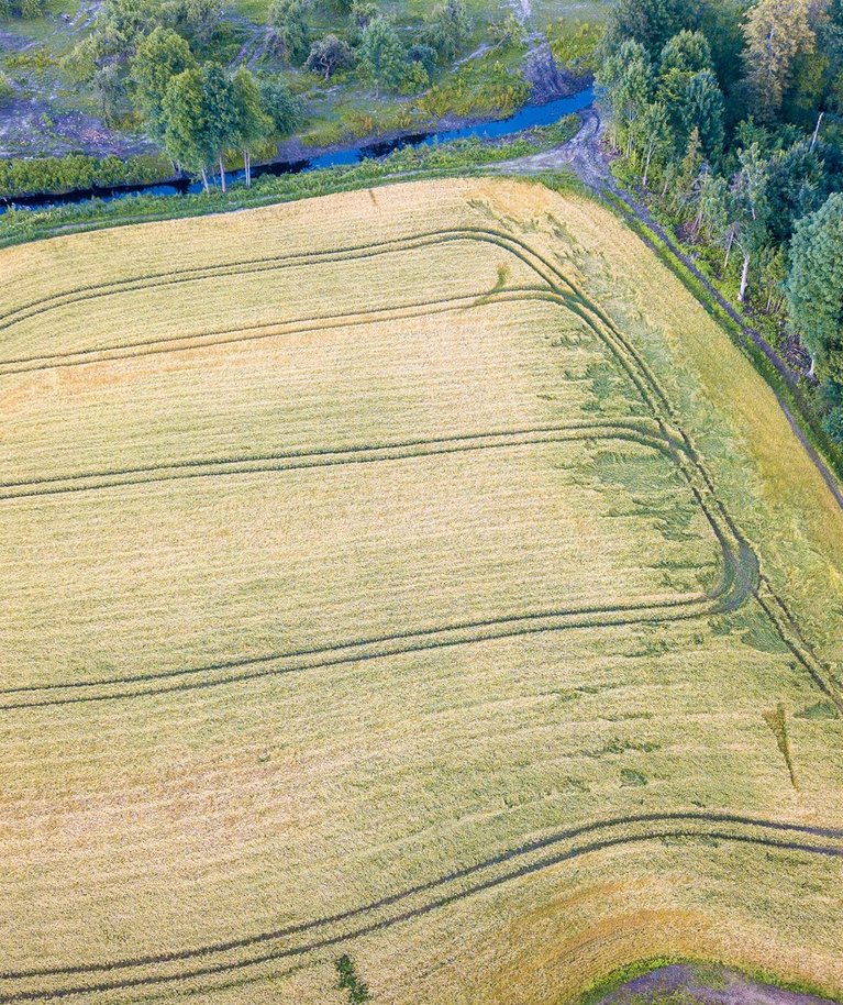 Riigikogus arutatav eelnõu lubab piiratud juhtudel rajada väärtuslikule põllumaale puuderea või heki, kiviaia või puudesalu, aga mitte muid maastikuelemente.