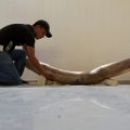 Värskemad leiud paljastavad mammutite kohta rohkem kui varasema kahe sajandi jooksul