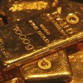 Austraalia kullakütid tegid teleajalugu: mehed kaevasid välja 250 000 dollarit väärt kullakamaka
