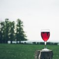 Millist tüüpi veini toidu kõrvale eelistada?