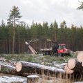 Rohepöörane | Eestis elab inimesi, kes eelistavad linnulaulule harvesteri mürinat
