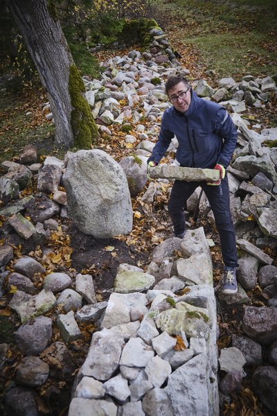 Tiit haarab maast järjekordse suure kivi ja tassib selle nagu muuseas mõne meetri kaugusele aia juurde ning sätib paika.