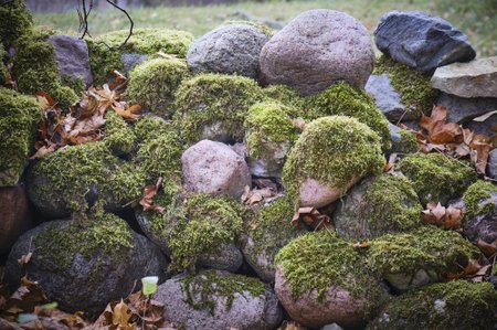 Samblakattega kiviaed on ümber lükatud, et saada kohe uus elu.