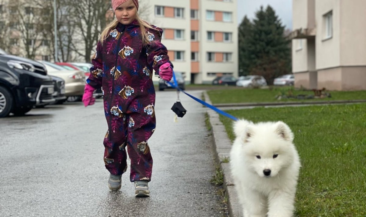 Möödunud aasta konkursi võitja Willu