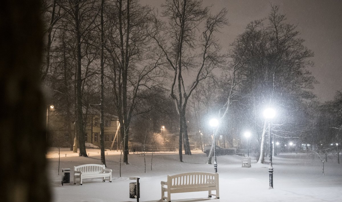 Lumesadu Tallinnas