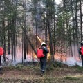 Сотни домов сгорели в Сибири, больше 10 погибших. Что известно о пожарах