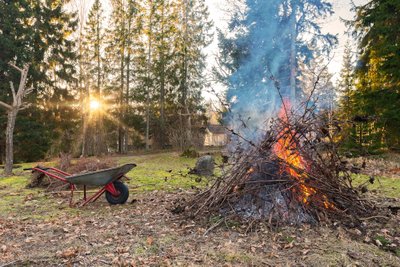 Kui oksi on mõnes omavalitsuses lubatud põletada, siis tuleohutust ei tasu unustada. Lõkke ümbrus peaks olema vaba kuivadest ja kergesti süttivatest materjalidest. Siin pildil on tule levik lihtne tekkima, kuna tuleaset ümbritseb kuiv lehepuru.