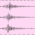 ФОТО | Землетрясение в Турции было настолько мощным, что его измерили и эстонские сейсмологические станции 