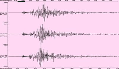 Eesti seismojaamad ja Türgi maavärin