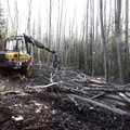 Правительство Эстонии одобрило программу обустройства пограничной контрольной линии