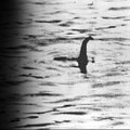 Millal Loch Nessi koletist esimest korda nähti?