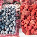 ТАБЛИЦА | Поспешите! Рынки Эстонии заполонили дешевые ягоды