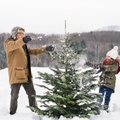 ПРОГНОЗ НА НЕДЕЛЮ | Будет ли погода в рождественские праздники зимней или ждать оттепели?