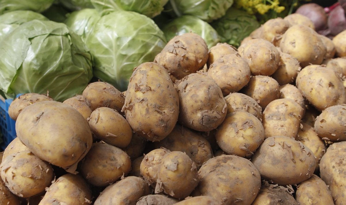 Algab mõnus aeg, kui juba saab kodumaist värsket kartulit ja kapsast.