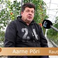 "Aasta põllumees 2017" kandidaat Aarne Põri