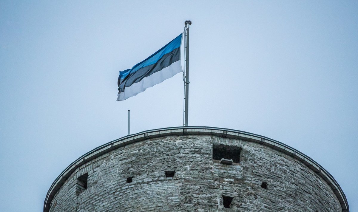 Kuidas tähistate Eesti Vabariigi 104. aastapäeva?