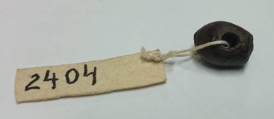 Neoliitiline sarapuupähklist valmistatud helmes Kääpa asulakohalt.