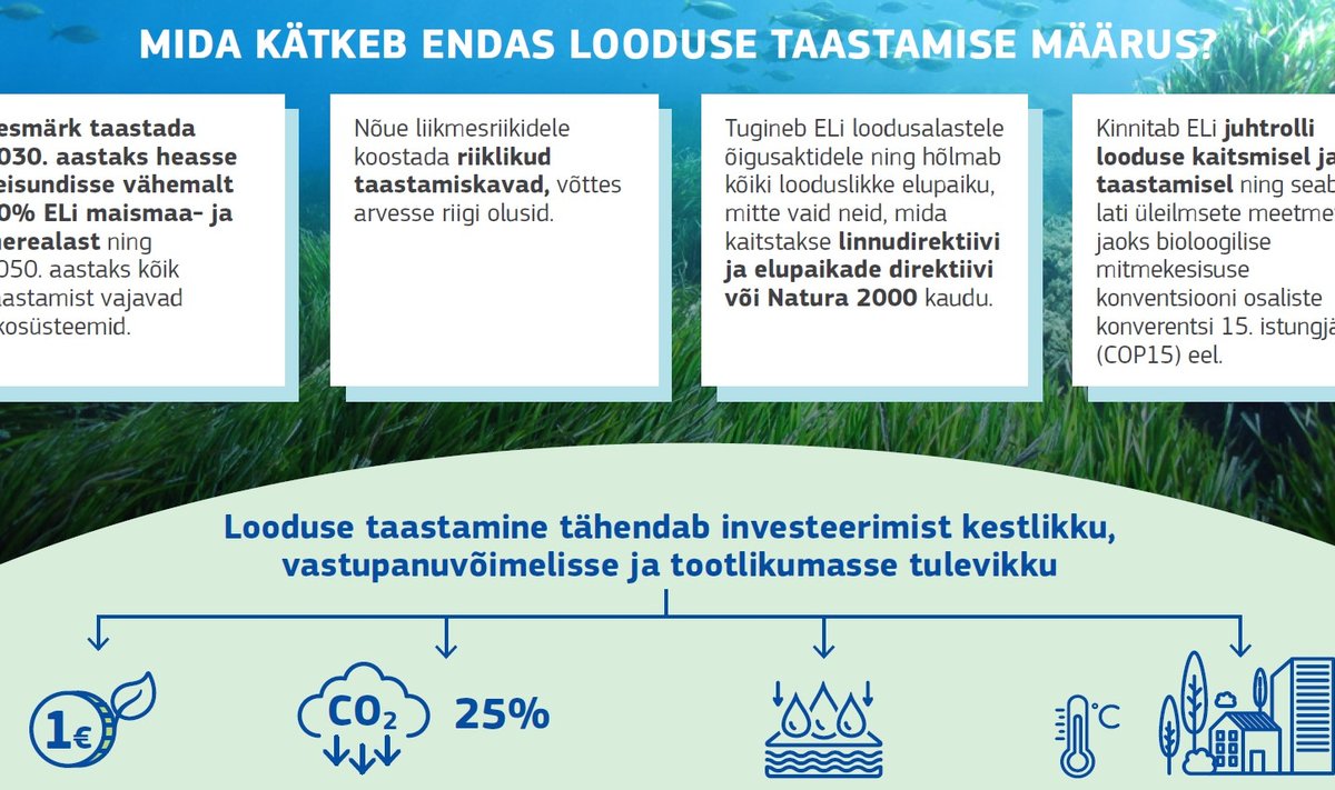 Looduse taastamise määruse infoleht.