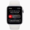 Veel üks edulugu: Apple'i kell päästis selgroo murdnud mehe elu