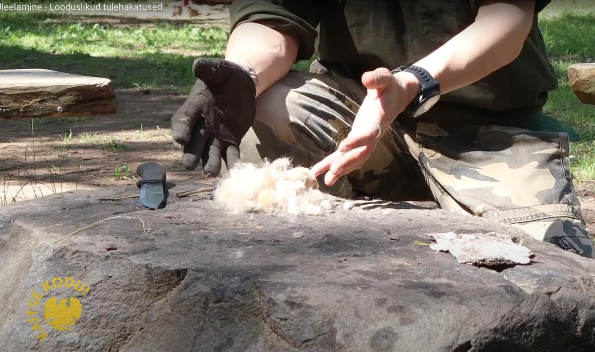 Kuvatõmmis videost