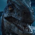 TREILER | "Jurassic World: Langenud kuningriik" tõestab taaskord, et dinosaurused pole kuskile kadunud