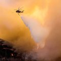 На следующей неделе дым от лесных пожаров в США достигнет Эстонии