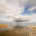 Maaülikooli teadlane uuris Eesti järvede ökoloogilist seisundit