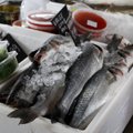 GALERII: Kalafestival tõmbas suitsulesta ja laevasõiduga